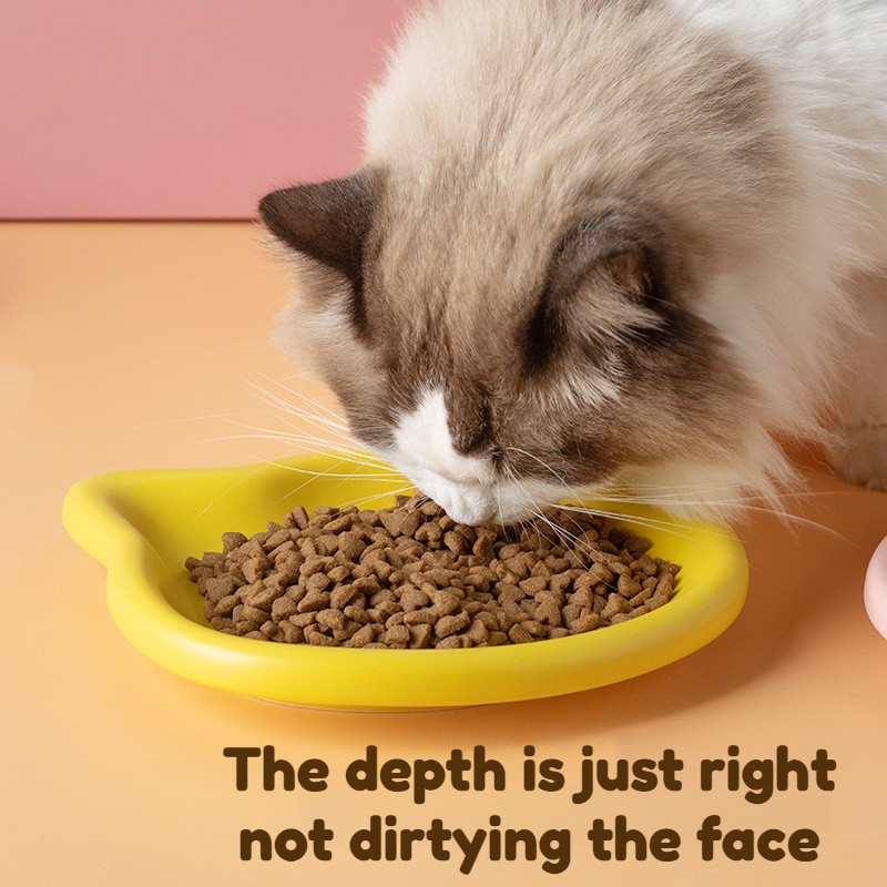 4-Color Pet Bowl Cat Food Dish - Meal Preparation บทวิจารณ์และราคา